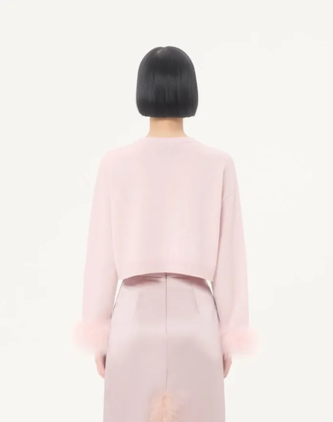 Cashmere Sweater with Feathers Cashmere Sweater with Feathers