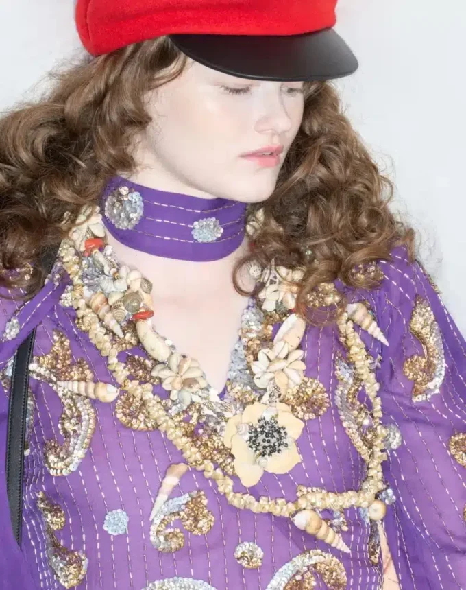 Embroidered Chiffon dress with feathers