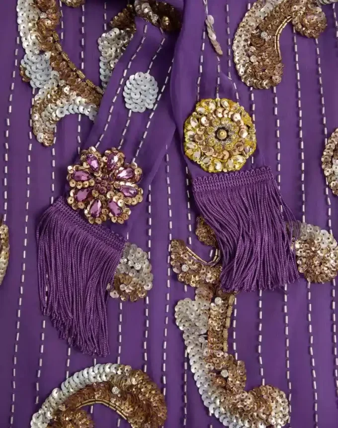 Embroidered Chiffon dress with feathers