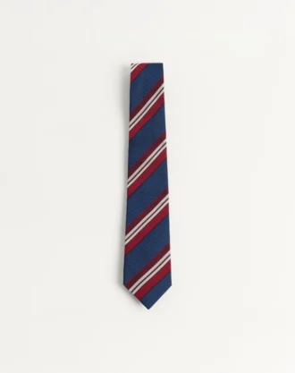 Valentie Striped Silk Tie