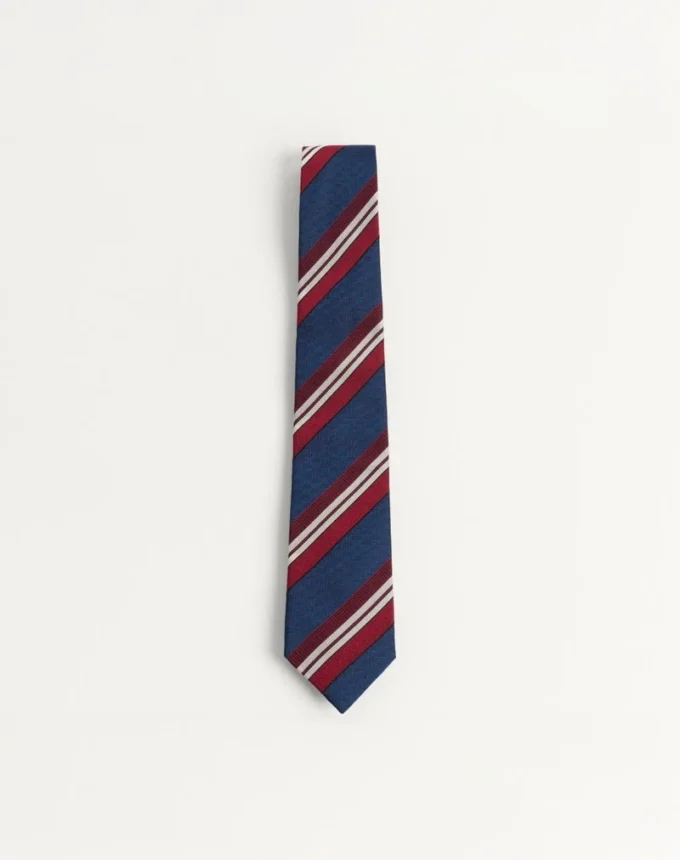Valentie Striped Silk Tie