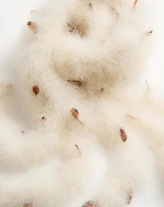 Valentino Feathers Scarf With Turkey And Pheasant Feathers